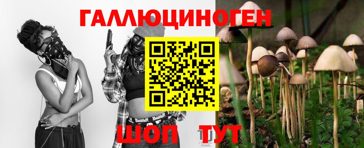 Шарыпово  Галлюциногенные грибы Psilocybe  Вход с VPN 